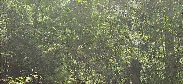 2 Acres of Residential Land for Sale in Pittsview, Alabama