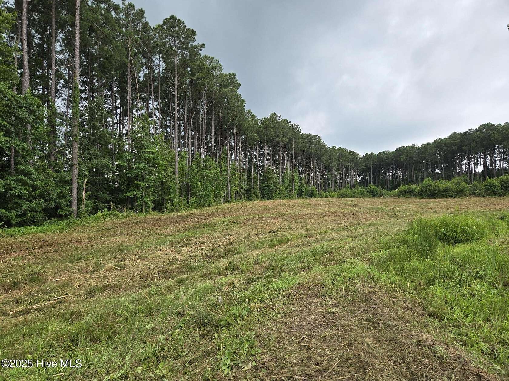 0.73 Acres of Residential Land for Sale in Bailey, North Carolina