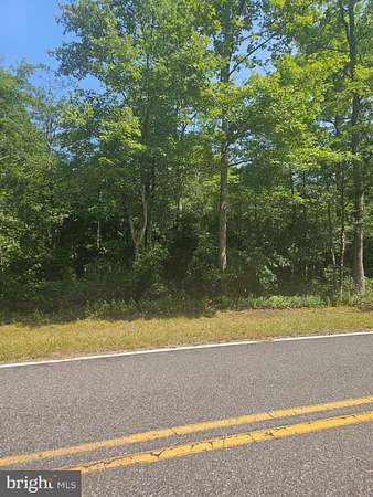 12.8 Acres of Recreational Land for Sale in Delmont, New Jersey