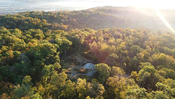 78 Acres of Recreational Land for Sale in Hanover, Illinois