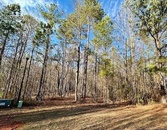 3 Acres of Land for Sale in Waverly Hall, Georgia