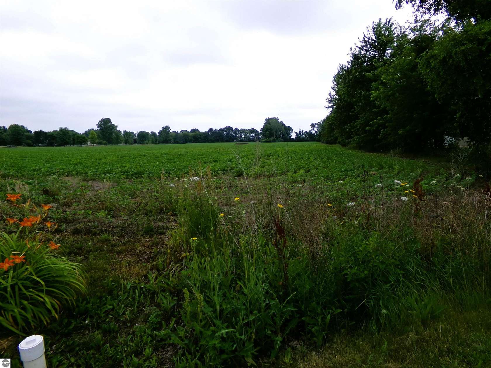 15.3 Acres of Land for Sale in Saginaw, Michigan