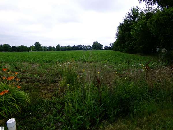 15.3 Acres of Land for Sale in Saginaw, Michigan
