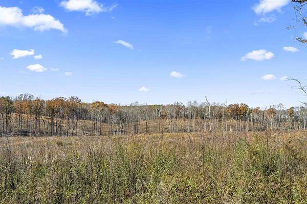 40 Acres of Recreational & Residential Land for Sale in Vinemont, Alabama