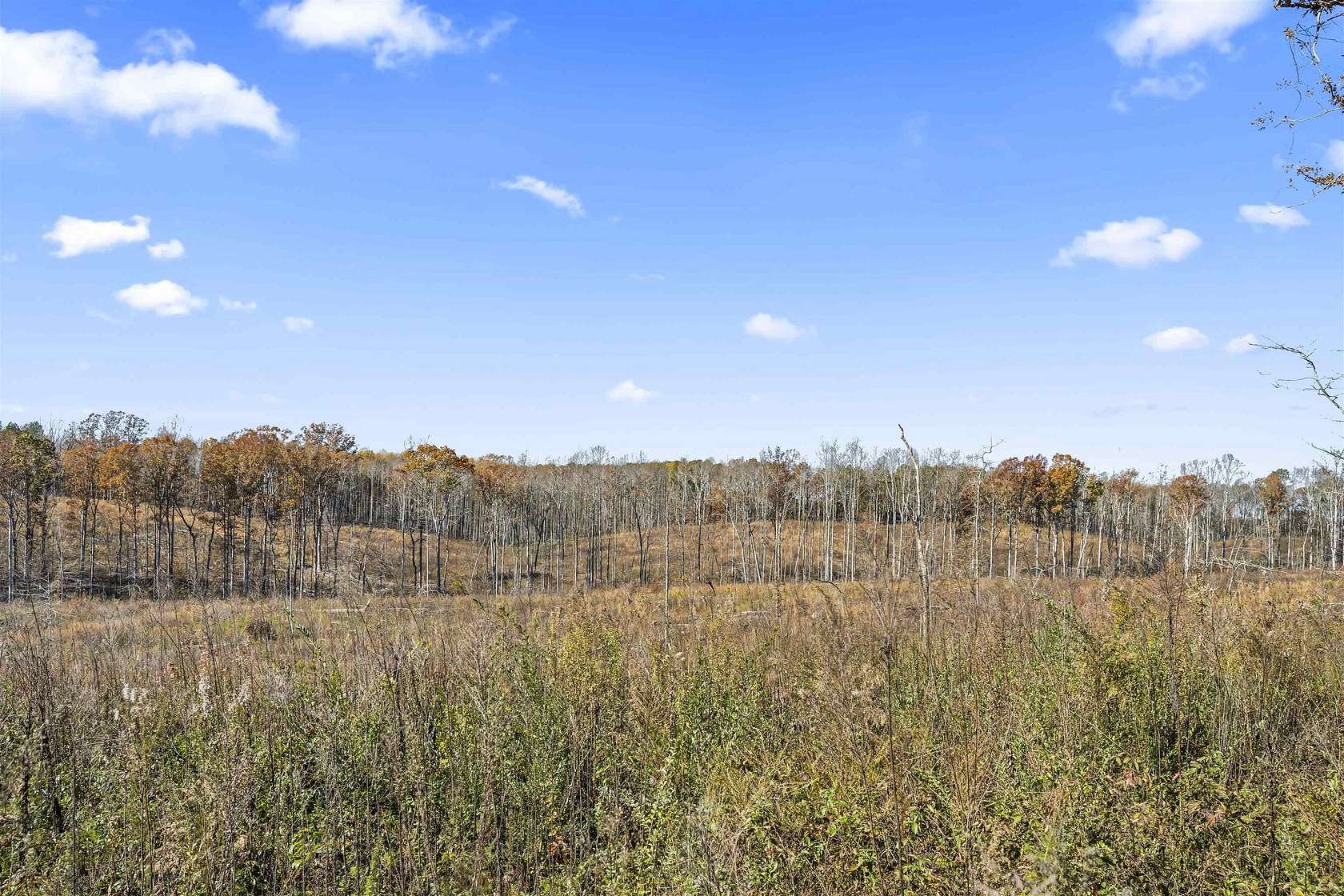 40 Acres of Recreational & Residential Land for Sale in Vinemont, Alabama
