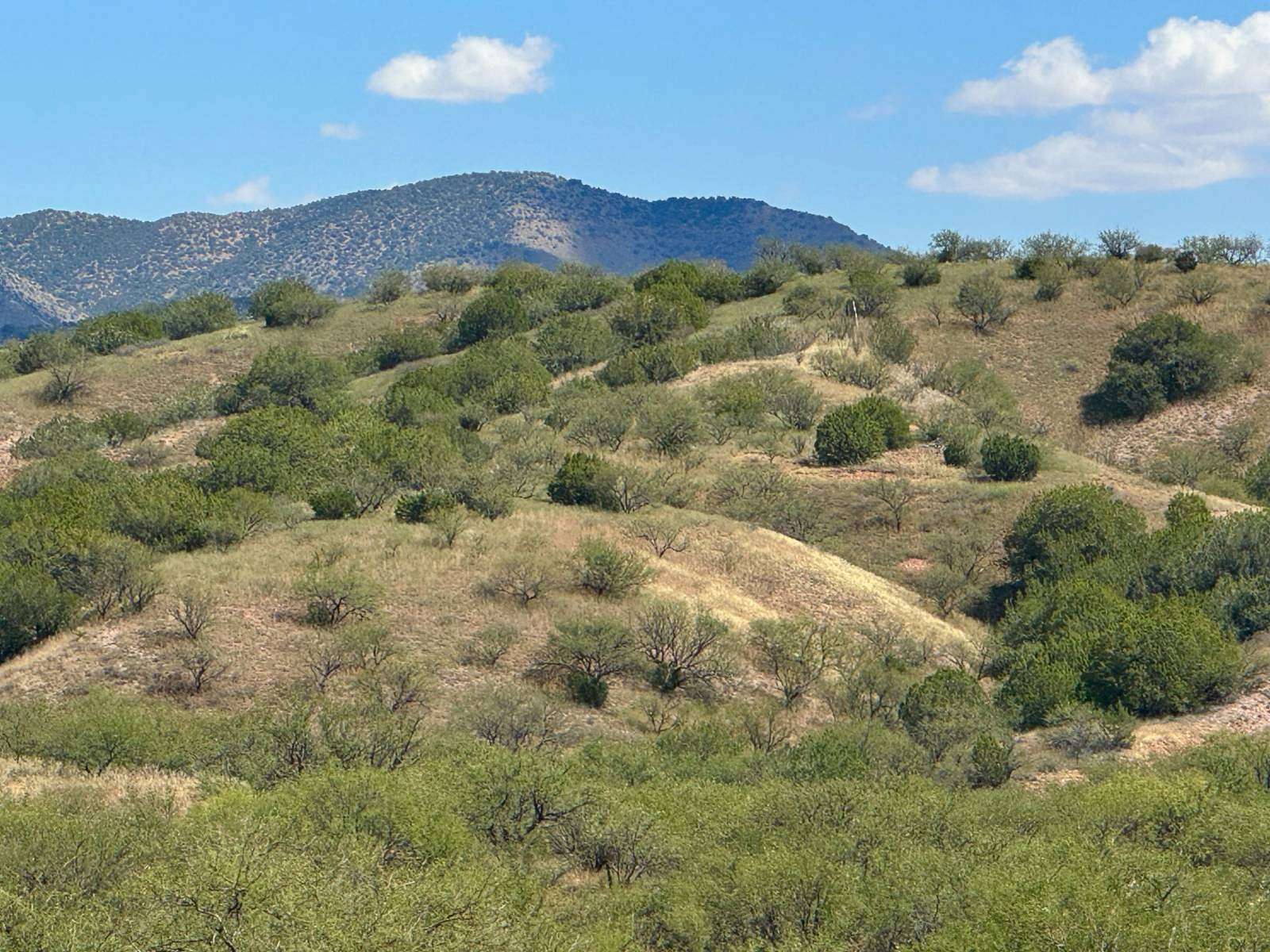 31.9 Acres of Recreational Land for Sale in Patagonia, Arizona