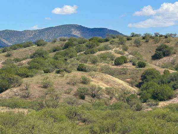 31.9 Acres of Recreational Land for Sale in Patagonia, Arizona