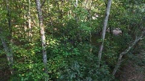 5 Acres of Residential Land for Sale in Georgetown, Tennessee