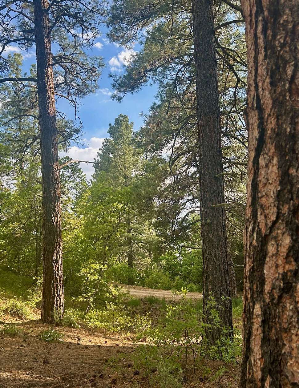 5.29 Acres of Land for Sale in Valdez, New Mexico