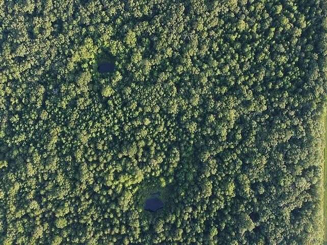 47.4 Acres of Recreational Land for Sale in Blackwell, Arkansas