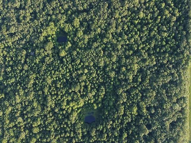 47.4 Acres of Recreational Land for Sale in Blackwell, Arkansas