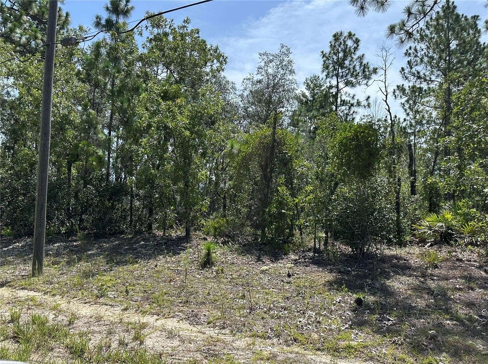 0.23 Acres of Residential Land for Sale in Citrus Springs, Florida