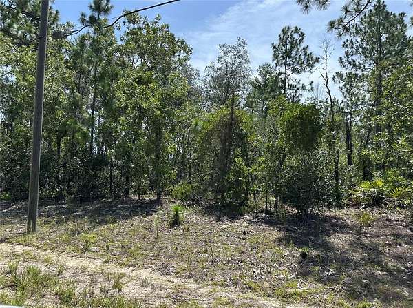 0.23 Acres of Residential Land for Sale in Citrus Springs, Florida