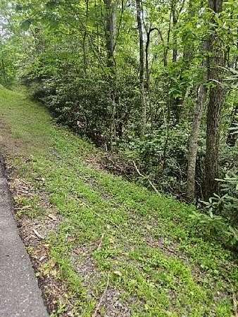 0.5 Acres of Residential Land for Sale in Fancy Gap, Virginia