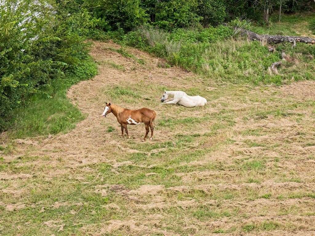 28 Acres of Land for Sale in Grand Saline, Texas