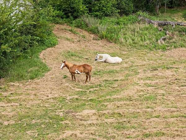 28 Acres of Land for Sale in Grand Saline, Texas