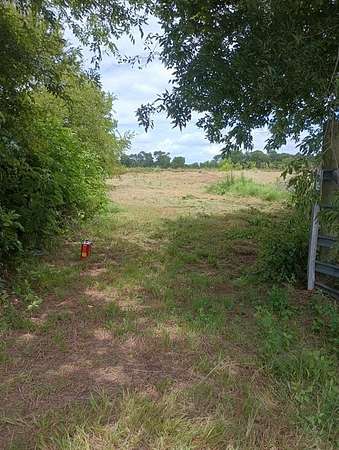 1 Acre of Land for Sale in Wills Point, Texas