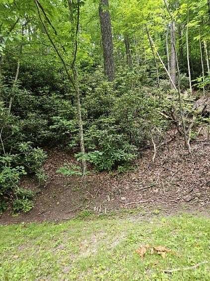 0.4 Acres of Residential Land for Sale in Fancy Gap, Virginia