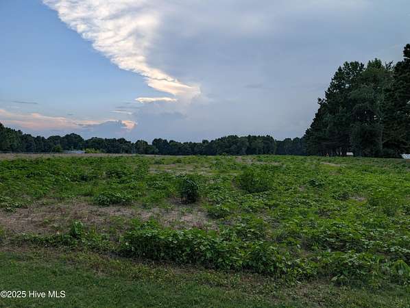 1 Acre of Residential Land for Sale in Elm City, North Carolina