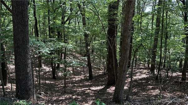 0.53 Acres of Residential Land for Sale in Jasper, Georgia