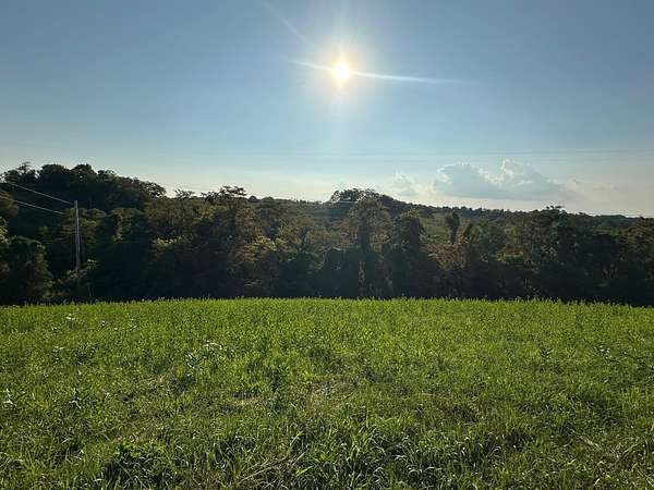 17 Acres of Land for Sale in Carlisle, Kentucky