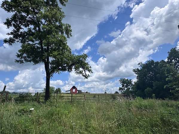 47 Acres of Agricultural Land for Sale in Altamont, Missouri