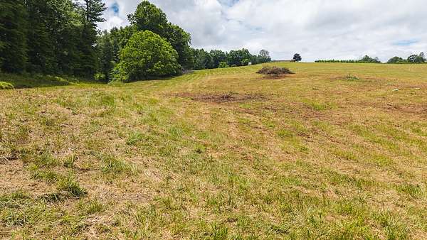 25.2 Acres of Land for Sale in Willis, Virginia