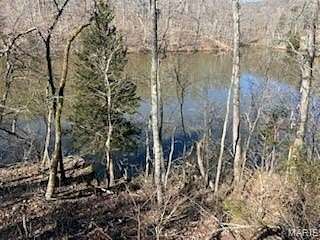 0.41 Acres of Residential Land for Sale in Charrette Township, Missouri