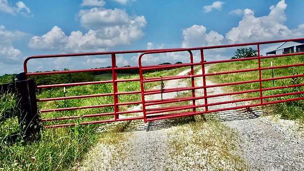 46 Acres of Land for Sale in Owingsville, Kentucky