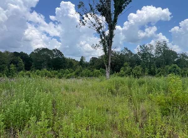 8.65 Acres of Land for Sale in Ruston, Louisiana