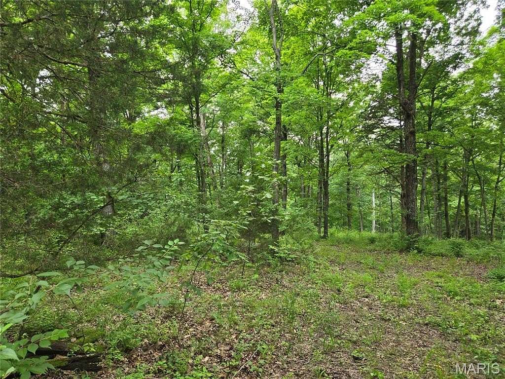 2 Acres of Residential Land for Sale in Wright City, Missouri