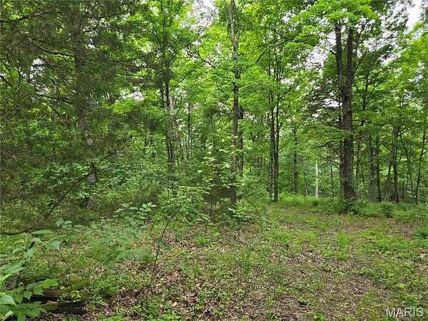 2 Acres of Residential Land for Sale in Wright City, Missouri