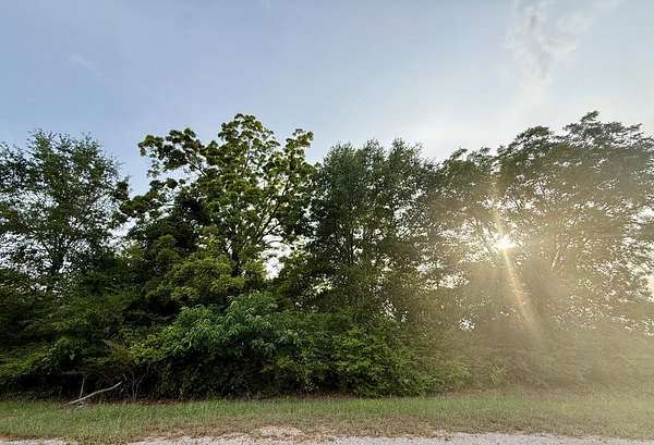 1 Acre of Residential Land for Sale in Newville, Alabama