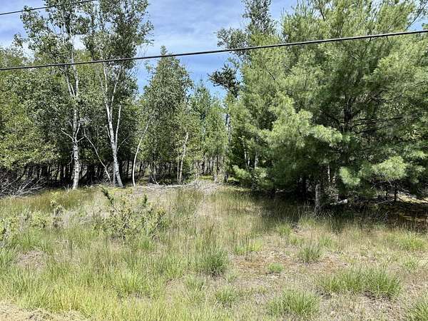 2.5 Acres of Land for Sale in Onekama, Michigan