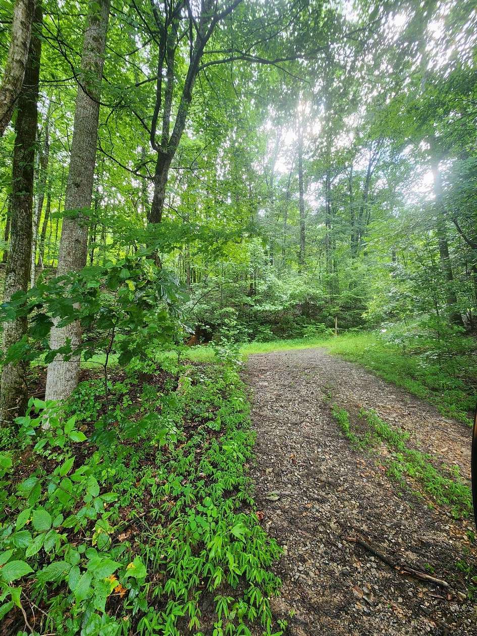 73.6 Acres of Land for Sale in South Pittsburg, Tennessee