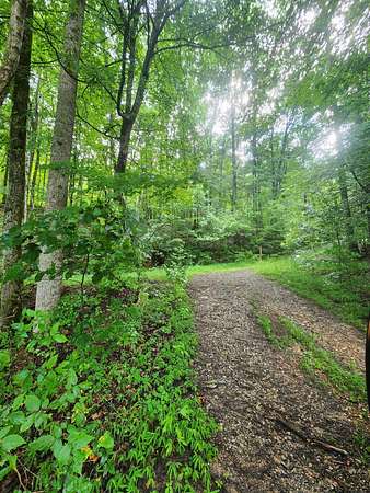 73.6 Acres of Land for Sale in South Pittsburg, Tennessee