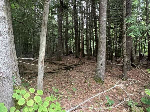 1.56 Acres of Residential Land for Sale in Saco, Maine