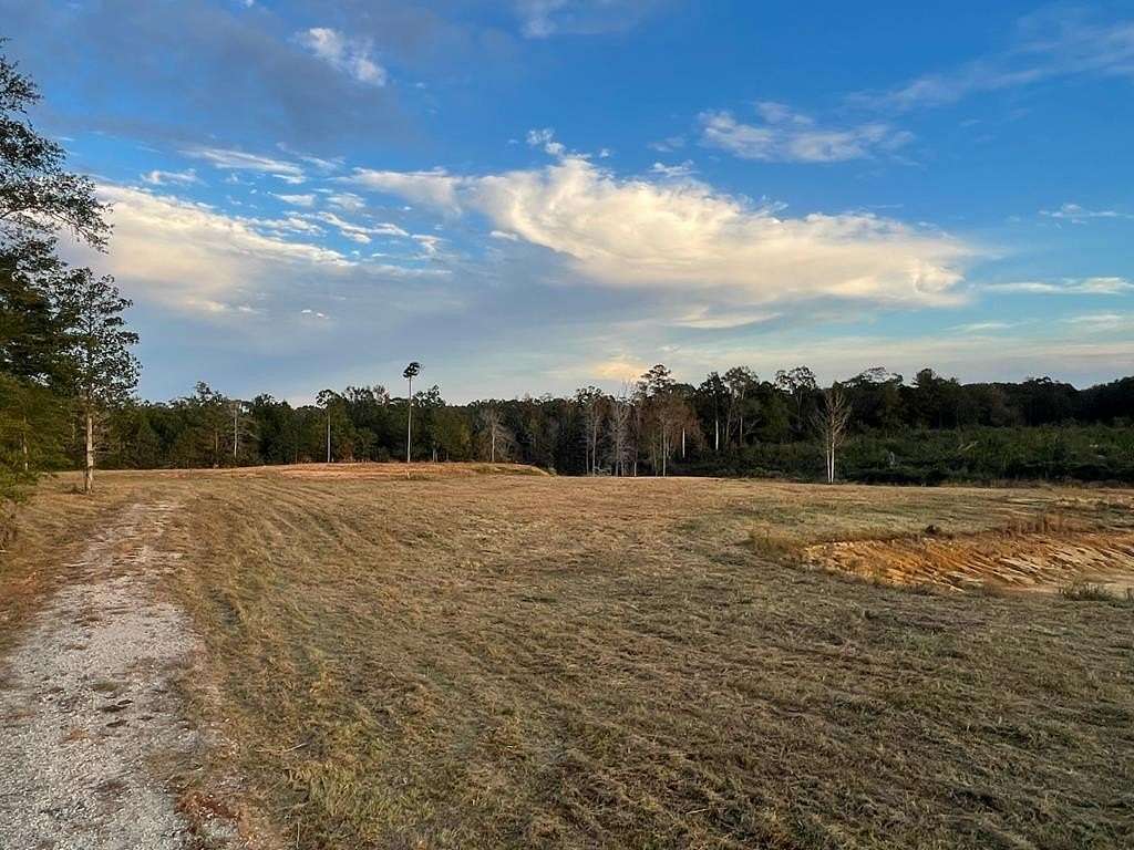 6.6 Acres of Land for Sale in Carriere, Mississippi