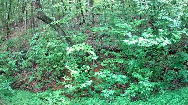 26 Acres of Land for Sale in South Pittsburg, Tennessee