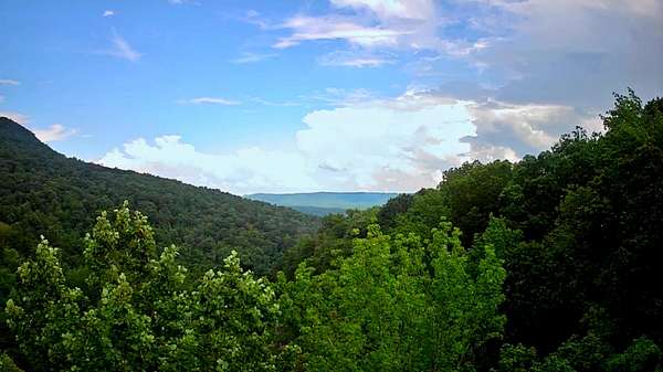 29.6 Acres of Land for Sale in South Pittsburg, Tennessee