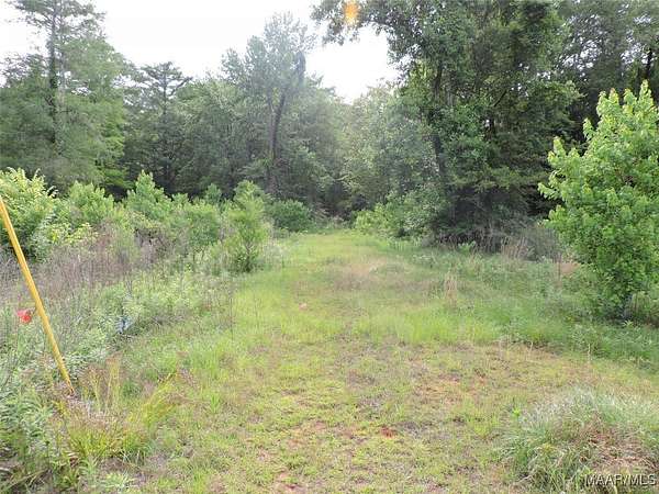 75.9 Acres of Recreational Land for Sale in Greenville, Alabama