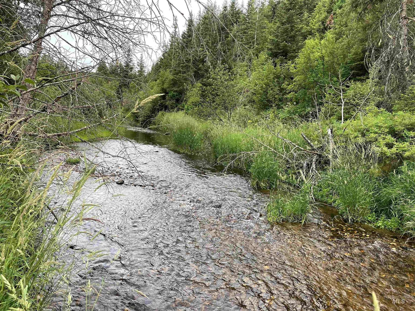 29.6 Acres of Land for Sale in Pierce, Idaho