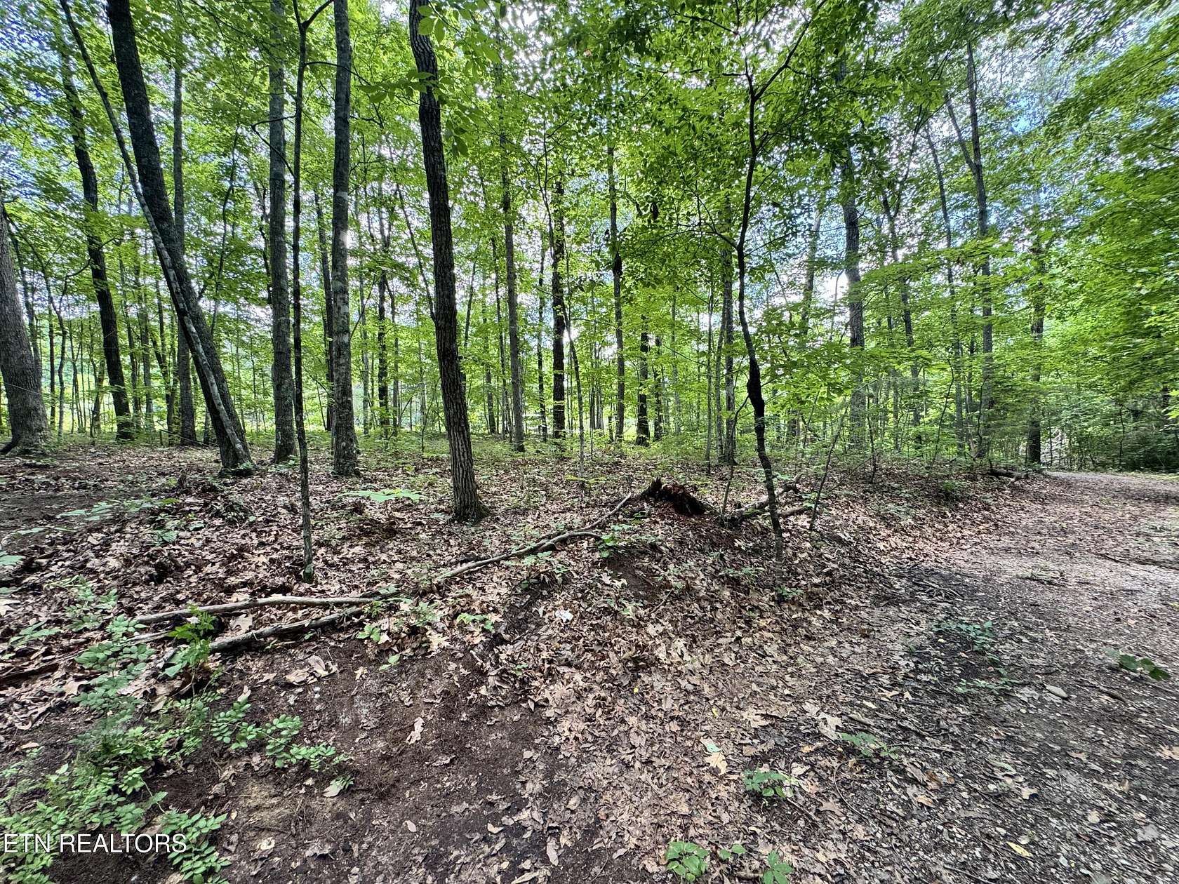 2.12 Acres of Land for Sale in Jamestown, Tennessee