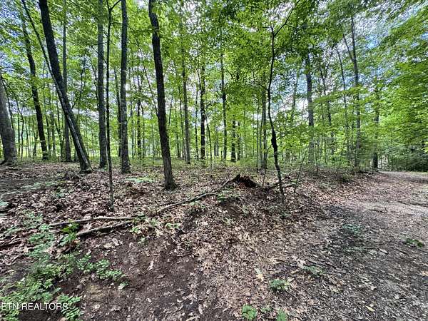 2.12 Acres of Land for Sale in Jamestown, Tennessee