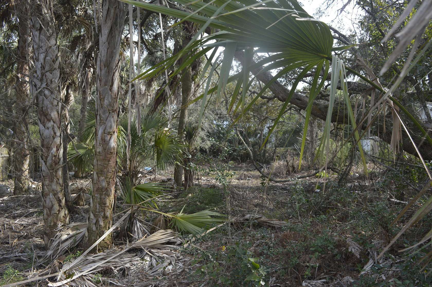 0.24 Acres of Residential Land for Sale in Folly Beach, South Carolina