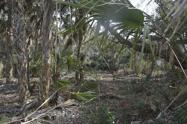 0.24 Acres of Residential Land for Sale in Folly Beach, South Carolina