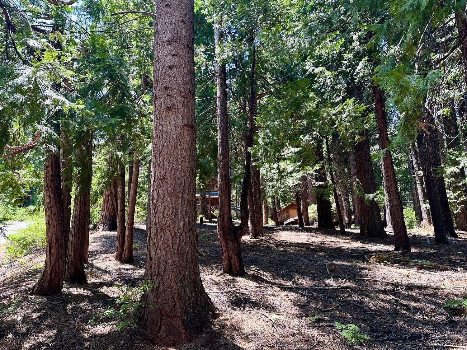 0.37 Acres of Residential Land for Sale in Arnold, California