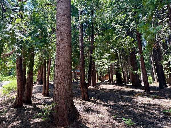 0.37 Acres of Residential Land for Sale in Arnold, California