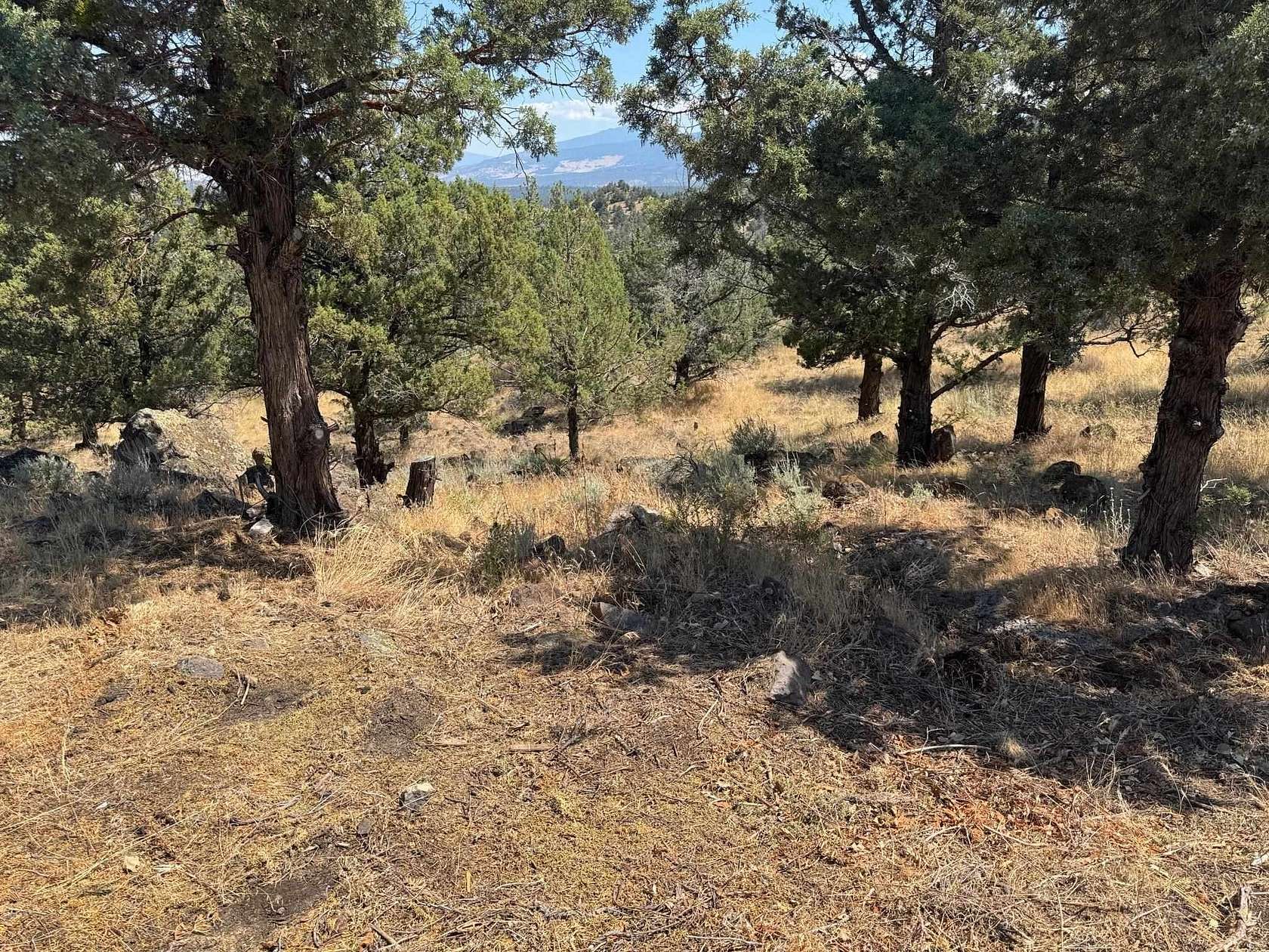 0.53 Acres of Land for Sale in Weed, California