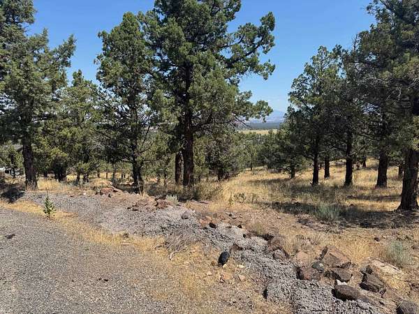 0.53 Acres of Residential Land for Sale in Weed, California